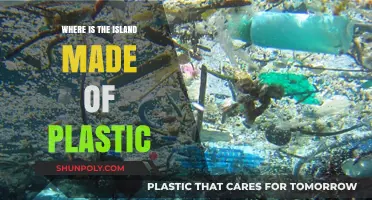 The Great Pacific Garbage Patch: Where Plastic Islands Form