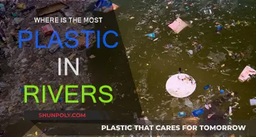 Plastic Rivers: Where is the Most Pollution?
