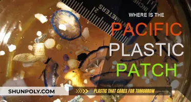 The Great Pacific Garbage Patch: A Plastic Wasteland