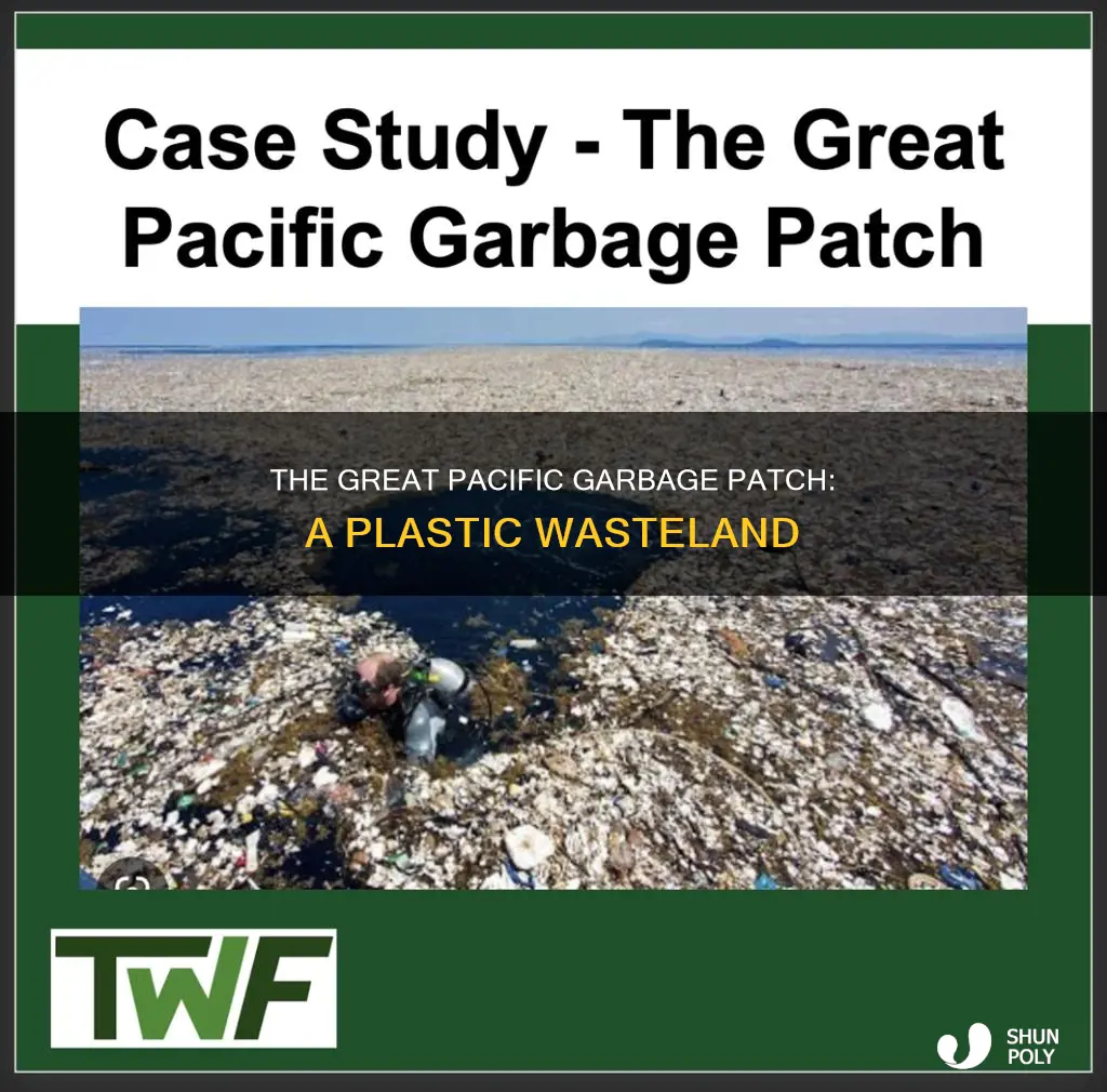 where is the pacific plastic patch