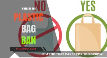 Plastic Bag Bans: Tracking Global Restrictions and Their Impact