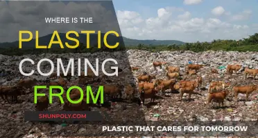 The Plastic Trail: Where Does it Begin?