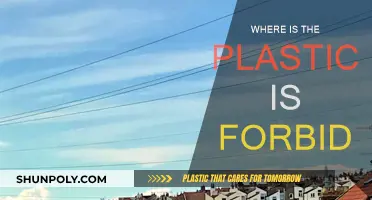 The Plastic-Free Revolution: Where Plastic is Banned
