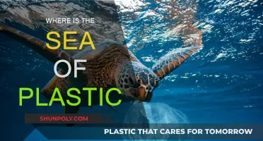 The Plastic Sea: A Global Crisis