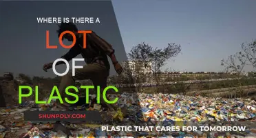 Plastic Pollution: Our Oceans and Environment