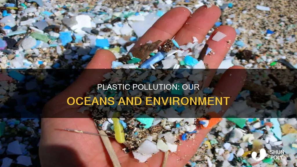 where is there a lot of plastic