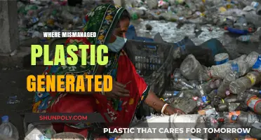 The Hidden Crisis: Where Mismanaged Plastic Generates Environmental Havoc