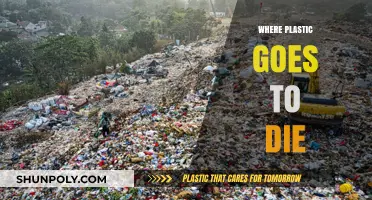 The Final Resting Place of Plastic: Unveiling the Journey to Environmental Oblivion