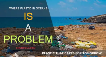 Plastic Pollution: Our Oceans' Biggest Threat