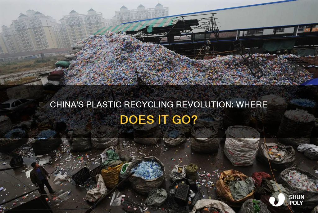 where recycle plastic china