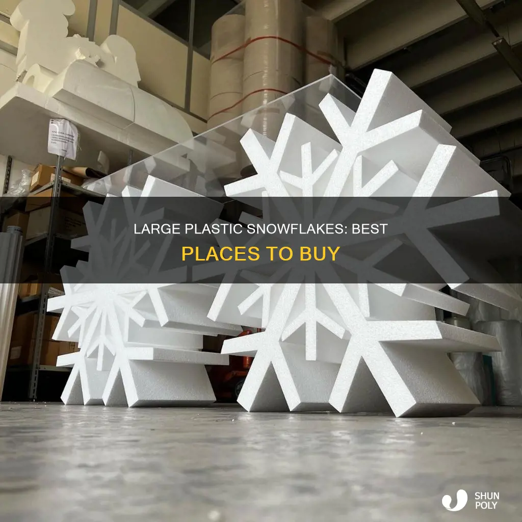 where to but large plastic snow flakes