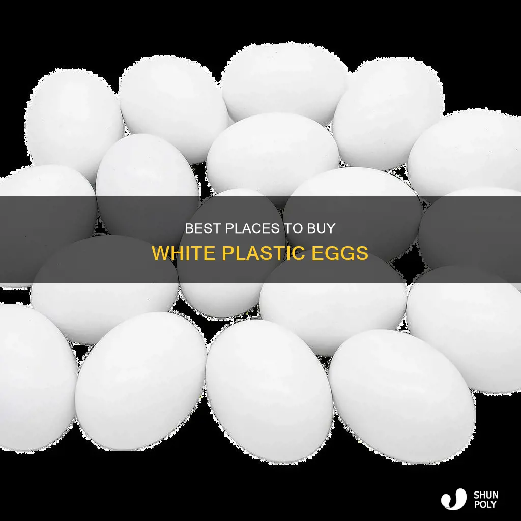 where to buty white plastic eggs