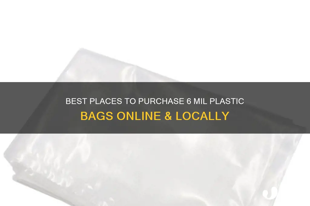 where to buy 6 mil plastic bags