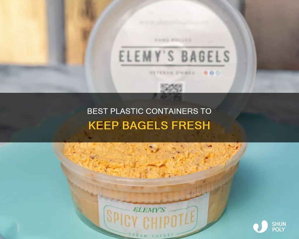 where to buy a plastic container to store bagels in