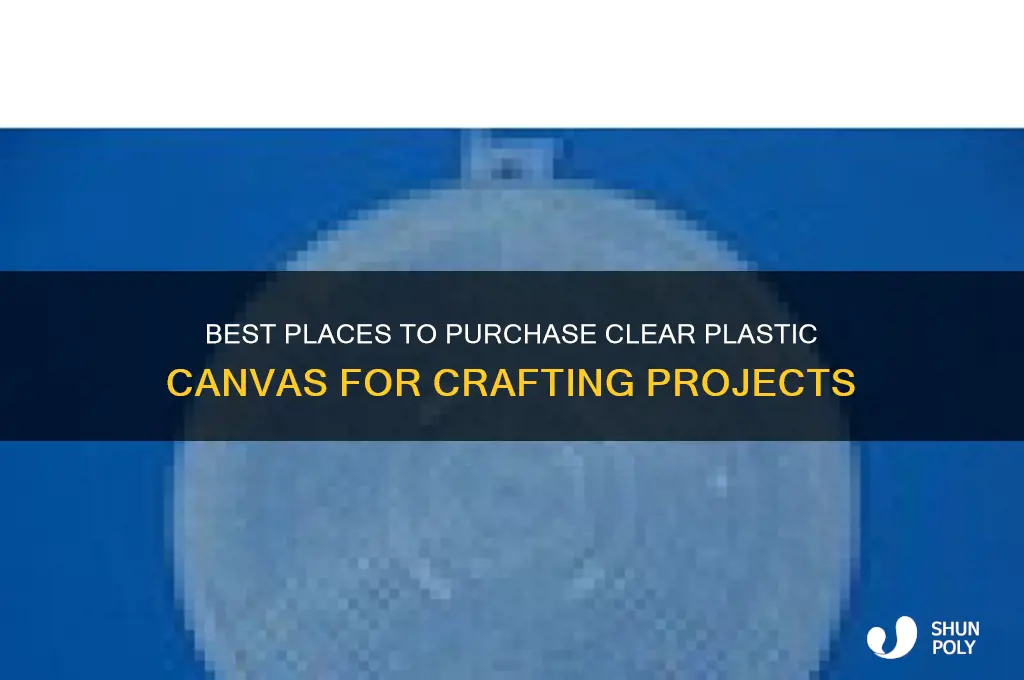 where to buy clear plastic canvas