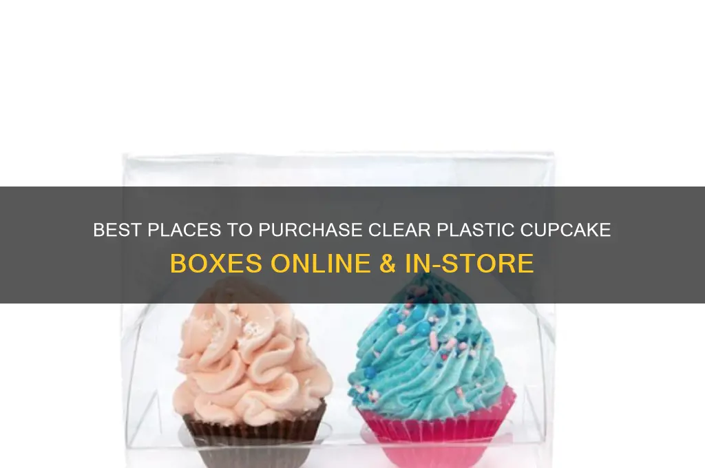 where to buy clear plastic cupcake boxes