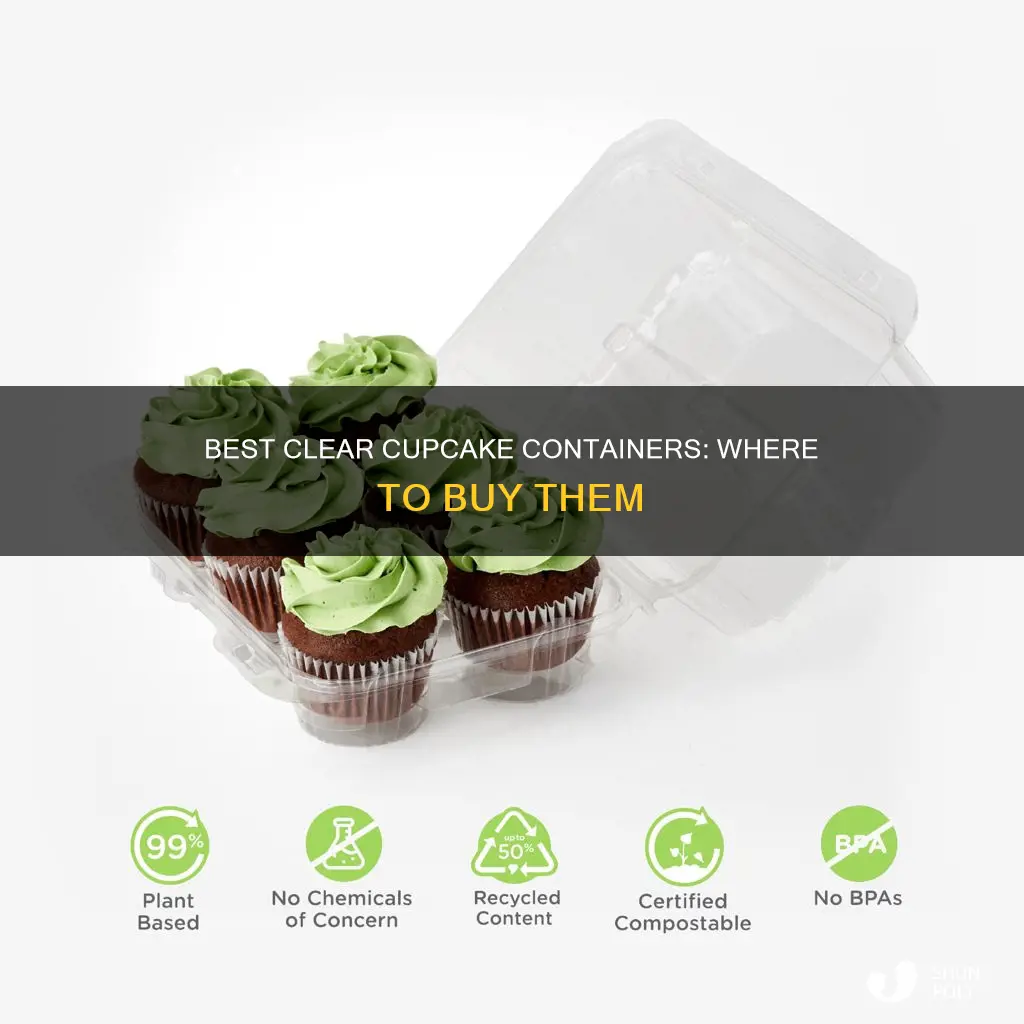 where to buy clear plastic cupcake containers