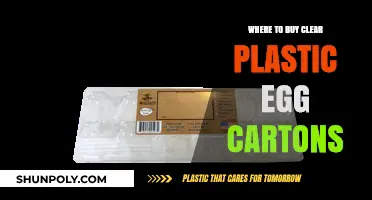Best Places to Purchase Clear Plastic Egg Cartons Online & In-Store