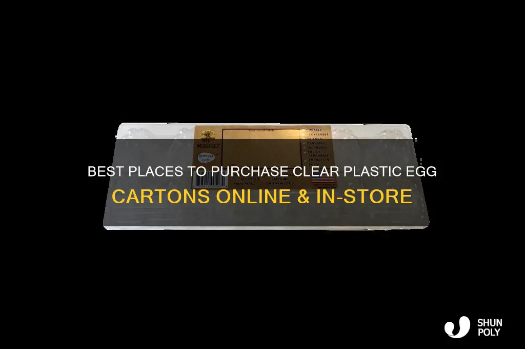 where to buy clear plastic egg cartons