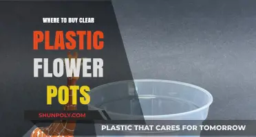 Top Places to Purchase Clear Plastic Flower Pots Online