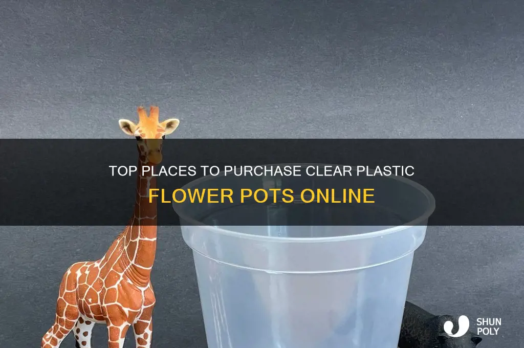 where to buy clear plastic flower pots