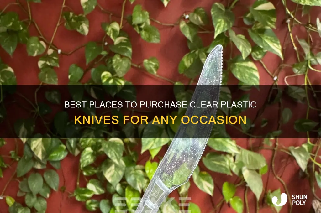 where to buy clear plastic knives