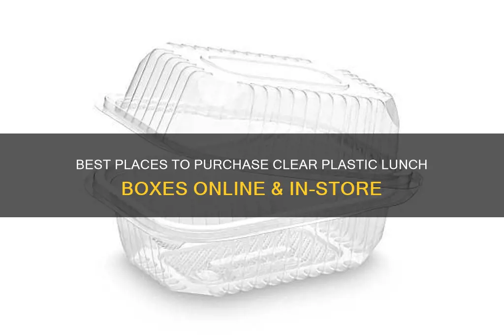 where to buy clear plastic lunch box