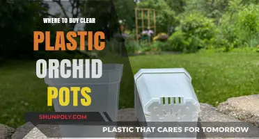 Best Places to Buy Clear Plastic Orchid Pots Online & In-Store