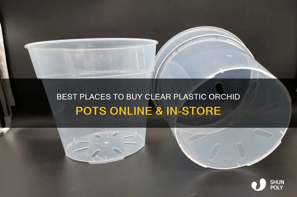 where to buy clear plastic orchid pots