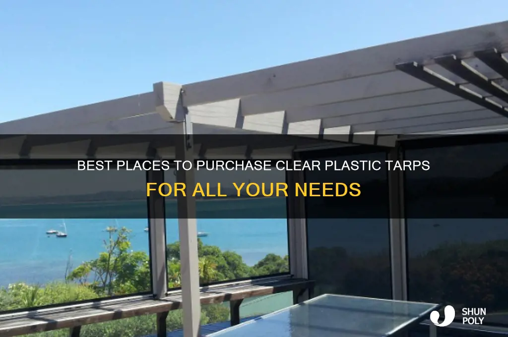 where to buy clear plastic tarp