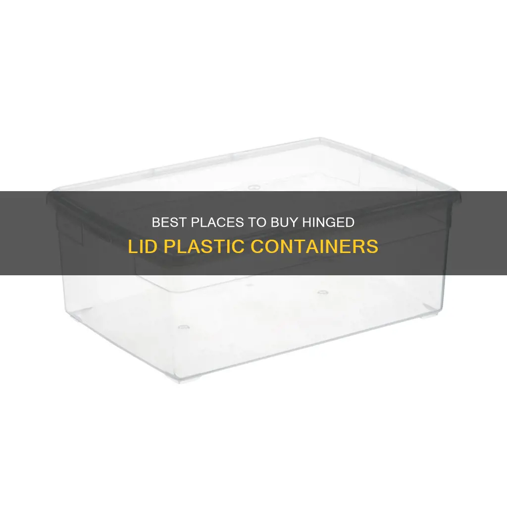 where to buy hinged lid plastic containers