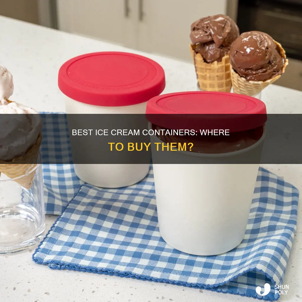 where to buy ice cream plastic containers
