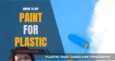 Best Paint for Plastic: Where to Buy?