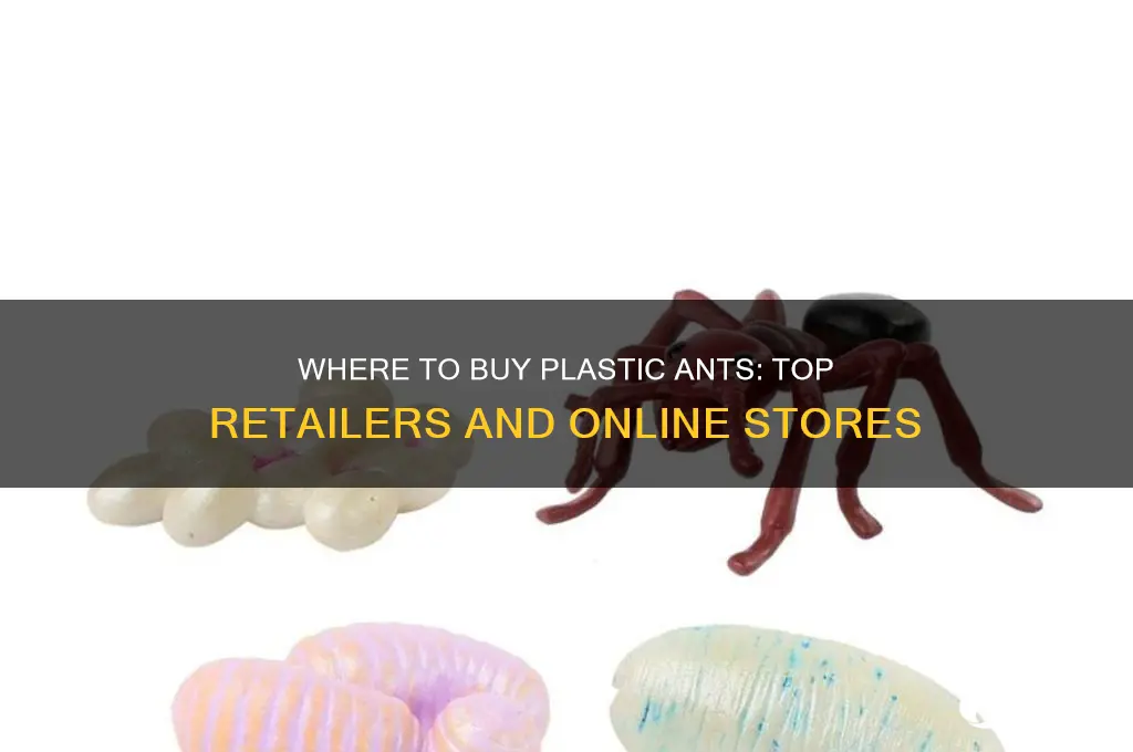where to buy plastic ants