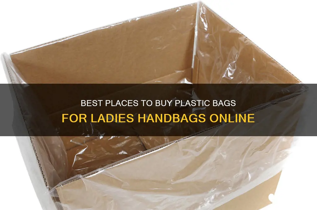 where to buy plastic bags for ladies handbags
