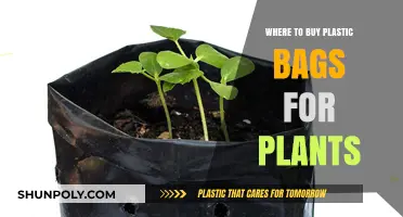 Best Places to Purchase Plastic Bags for Plant Growth and Protection