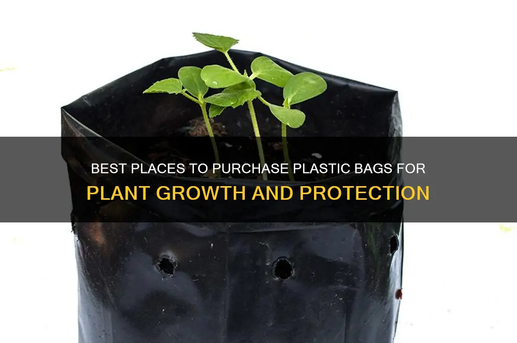 where to buy plastic bags for plants