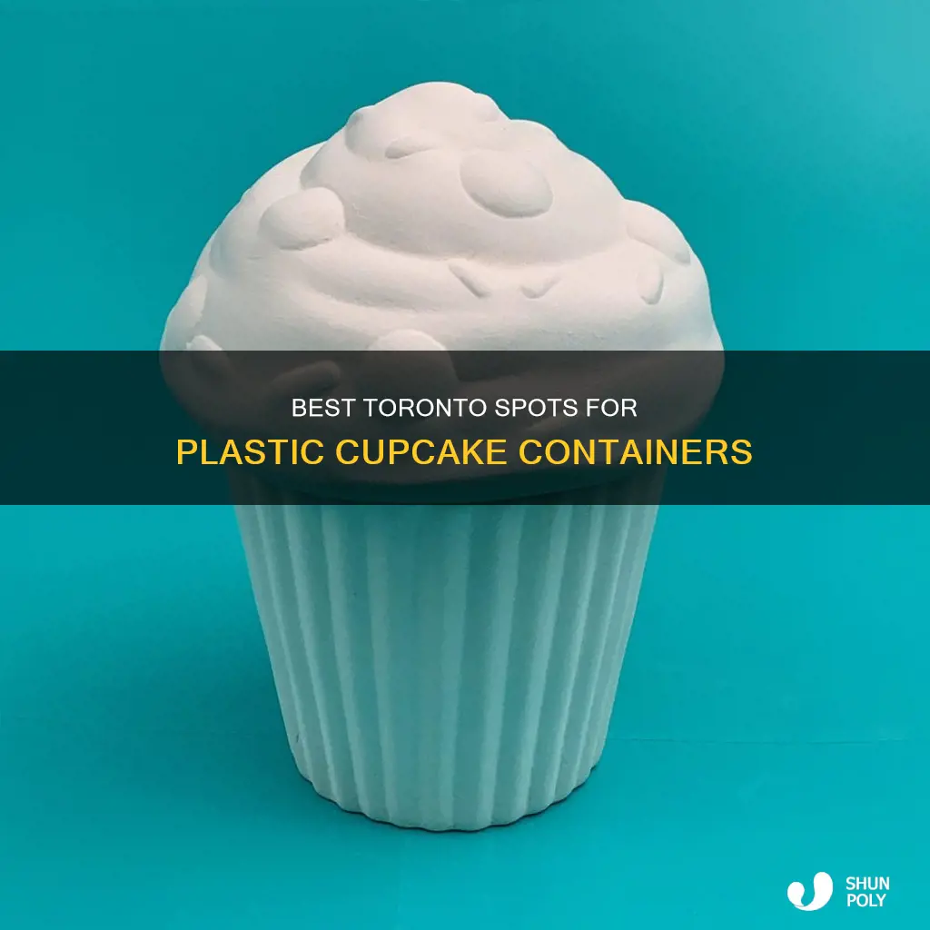 where to buy plastic cupcake containers in toronto
