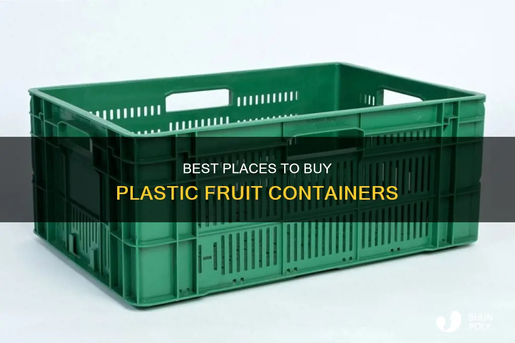 where to buy plastic fruit containers