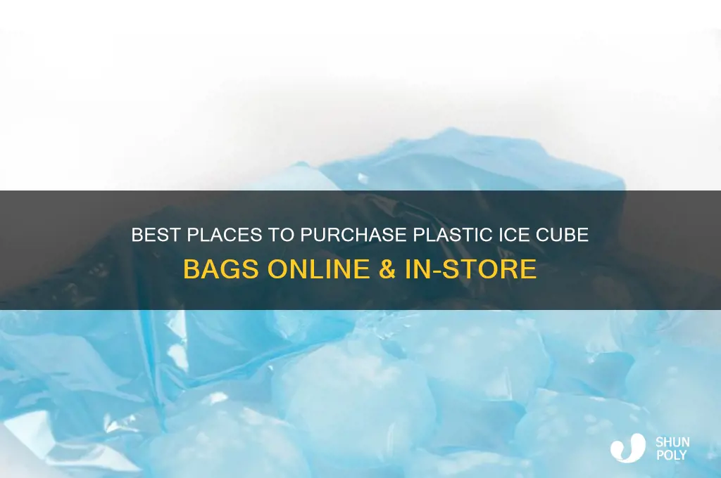 where to buy plastic ice cube bags