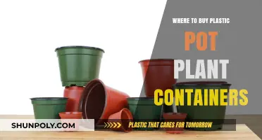 Best Places to Buy Plastic Pot Plant Containers