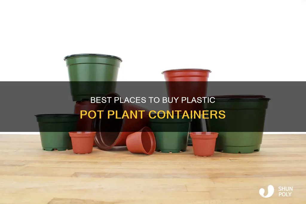 where to buy plastic pot plant containers