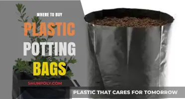 Best Places to Purchase Plastic Potting Bags for Gardening