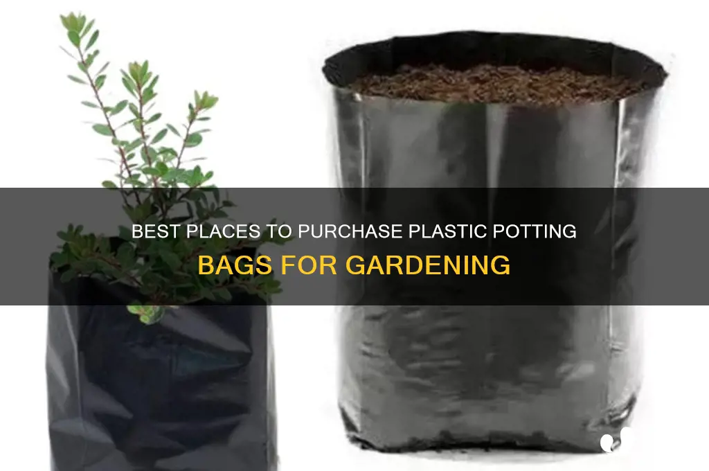 where to buy plastic potting bags