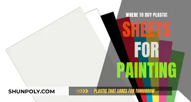 Best Sources for Plastic Sheets for Painting