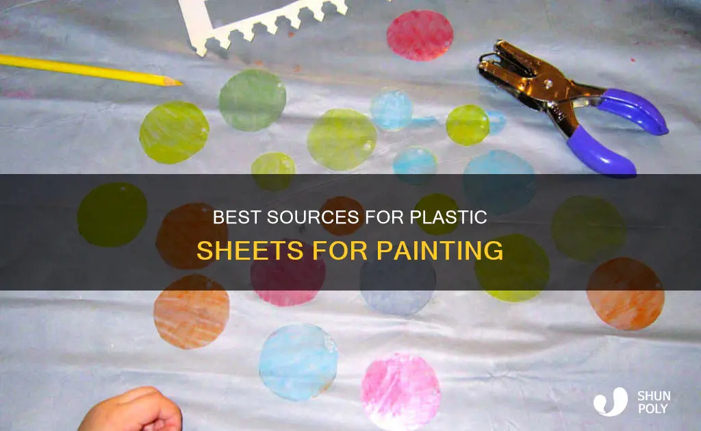 where to buy plastic sheets for painting