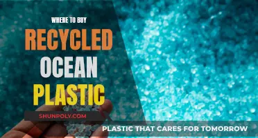 Ocean Plastic Recycling: Where to Buy and Support