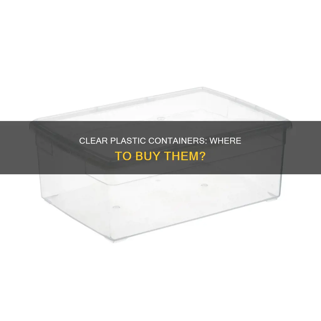 where to buy see through plastic containers