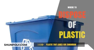 Eco-Friendly Disposal: Your Guide to Plastic Recycling and Beyond