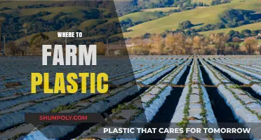 Sustainable Farming: Cultivating a Future Free from Plastic Waste